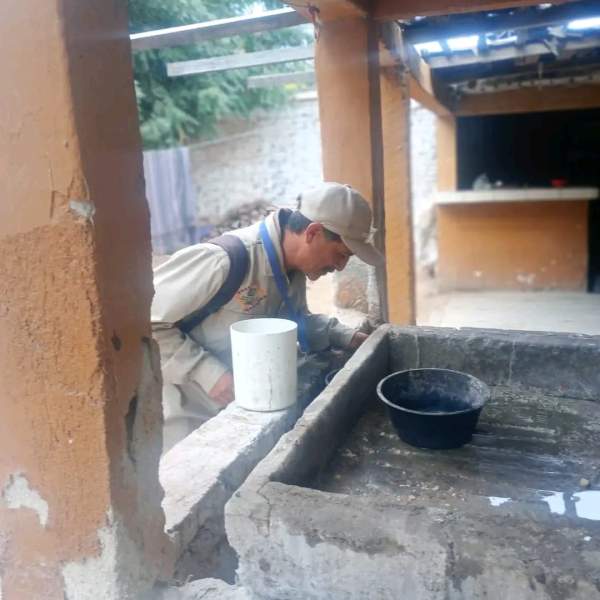 Llama Salud Sonora a reforzar medidas contra el dengue por recientes lluvias